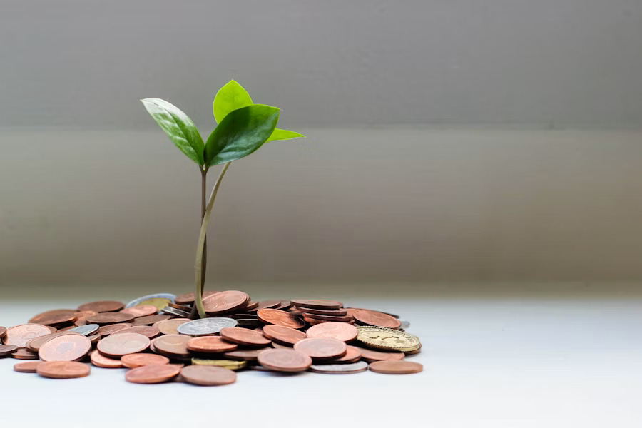 Other Unsecured Loan